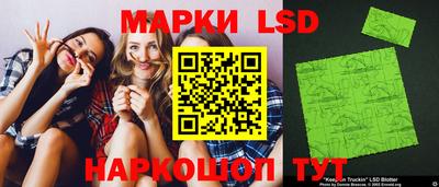 прущие грибы Краснодар