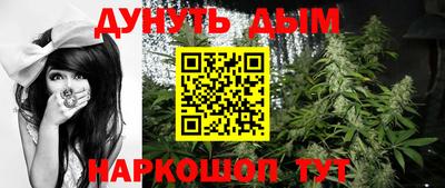 прущие грибы Краснодар