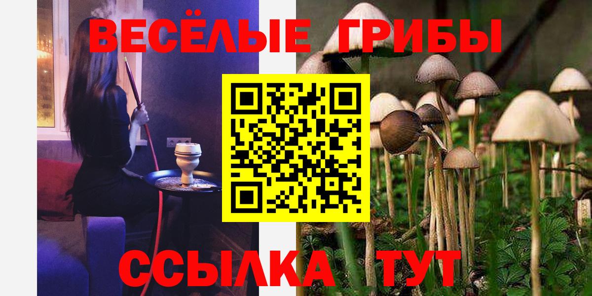 Железногорск  Псилоцибиновые грибы мицелий  Вход с VPN 